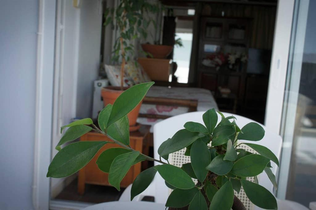 Stavros Amazing Apartment In The Centre Of Kos Exterior foto